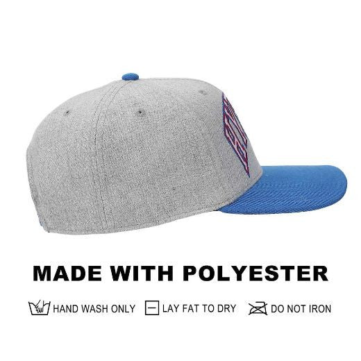 The Legend of Zelda Hyrule Shield Gray & Blue Snapback Hat