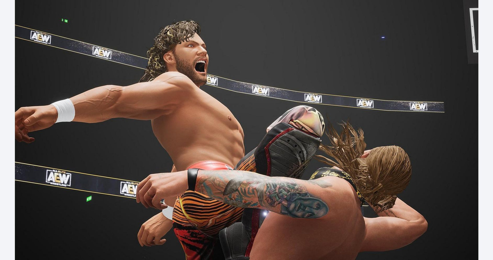 AEW: Fight Forever - PlayStation 5