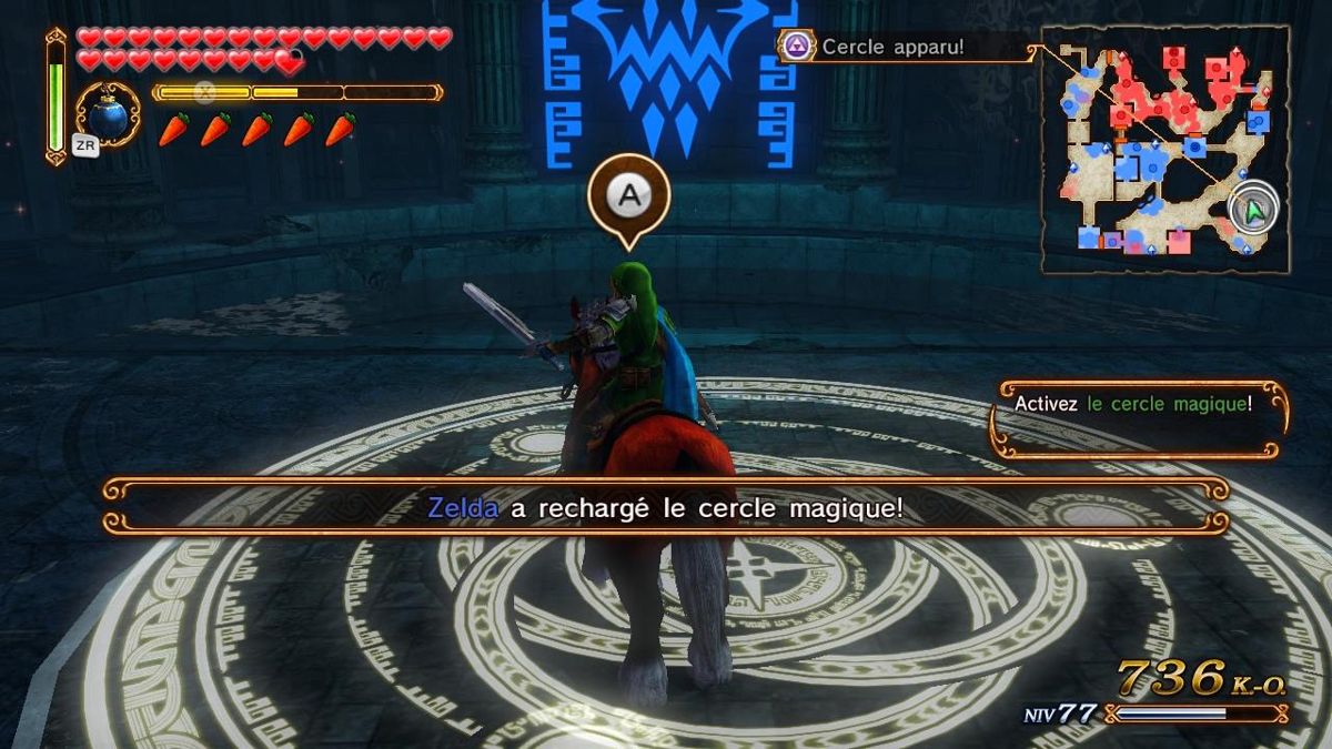 Hyrule Warriors - Wii U