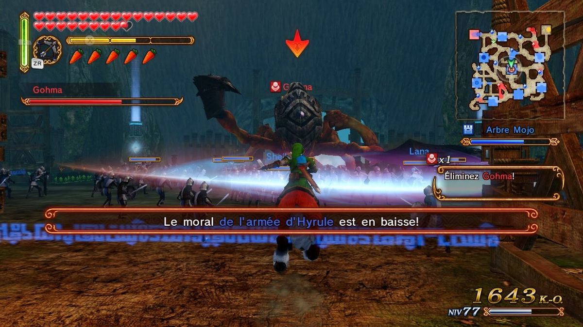Hyrule Warriors - Wii U