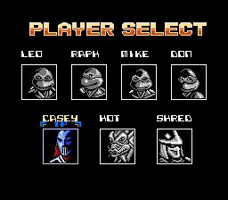 Teenage Mutant Ninja Turtles: Tournament Fighters - NES