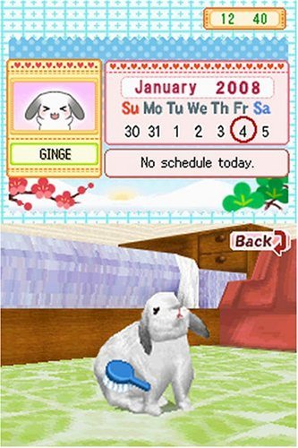 Petz: Bunnyz - Nintendo DS