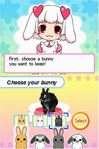 Petz: Bunnyz - Nintendo DS