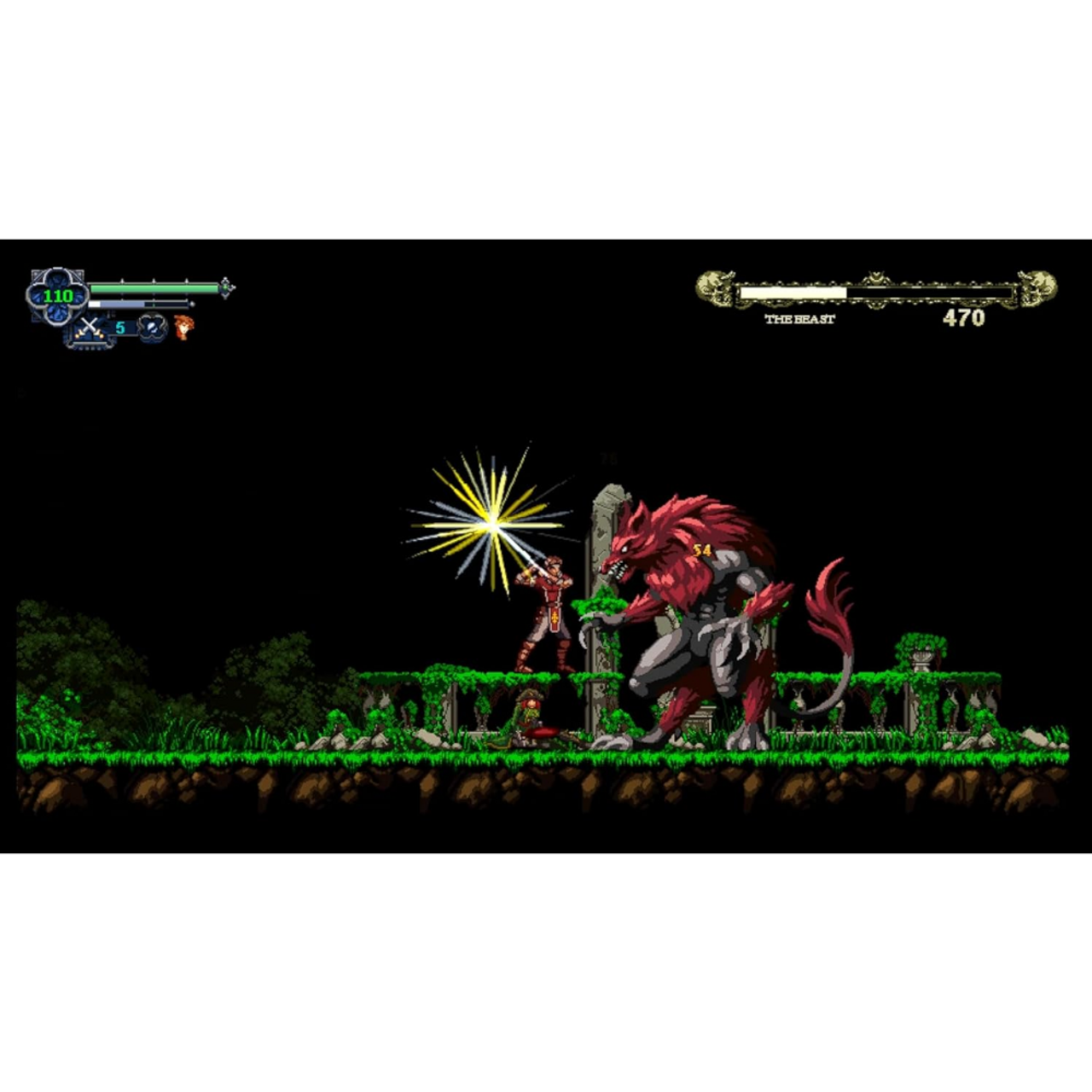 Chronicles of the Wolf - Nintendo Switch