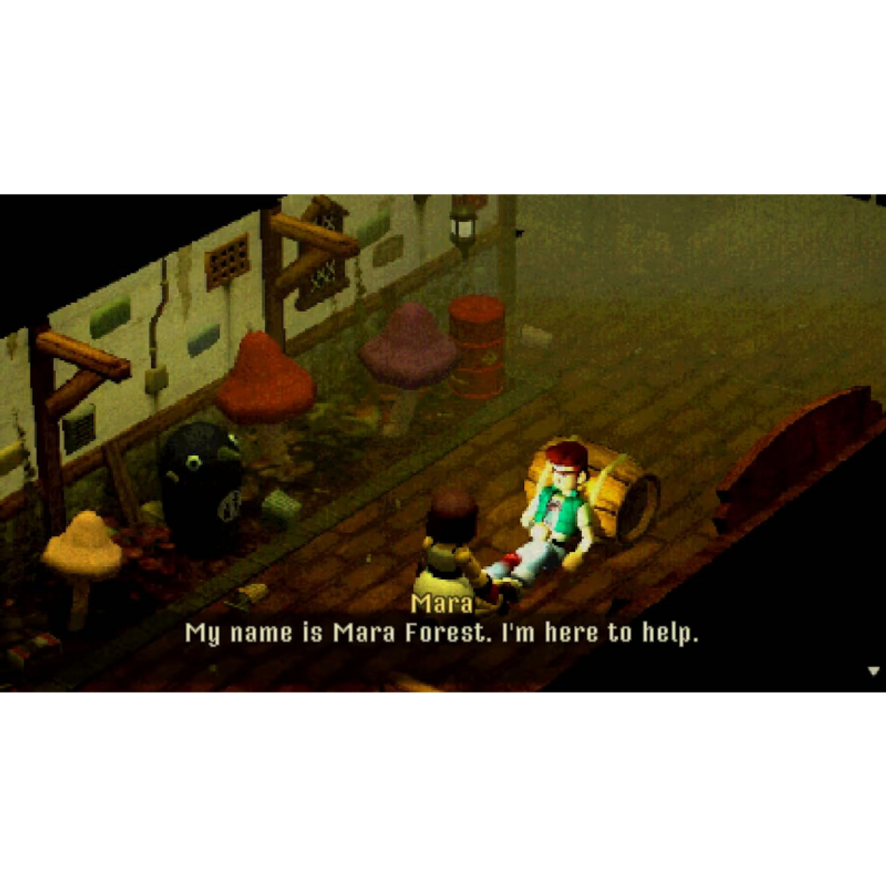 Crow Country - Nintendo Switch