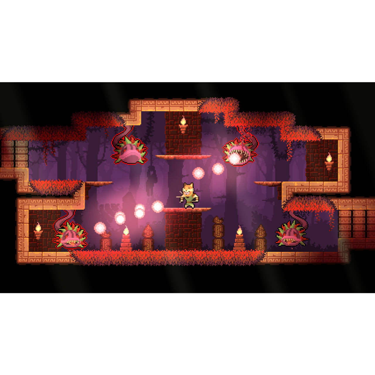 Dunjungle - Nintendo Switch