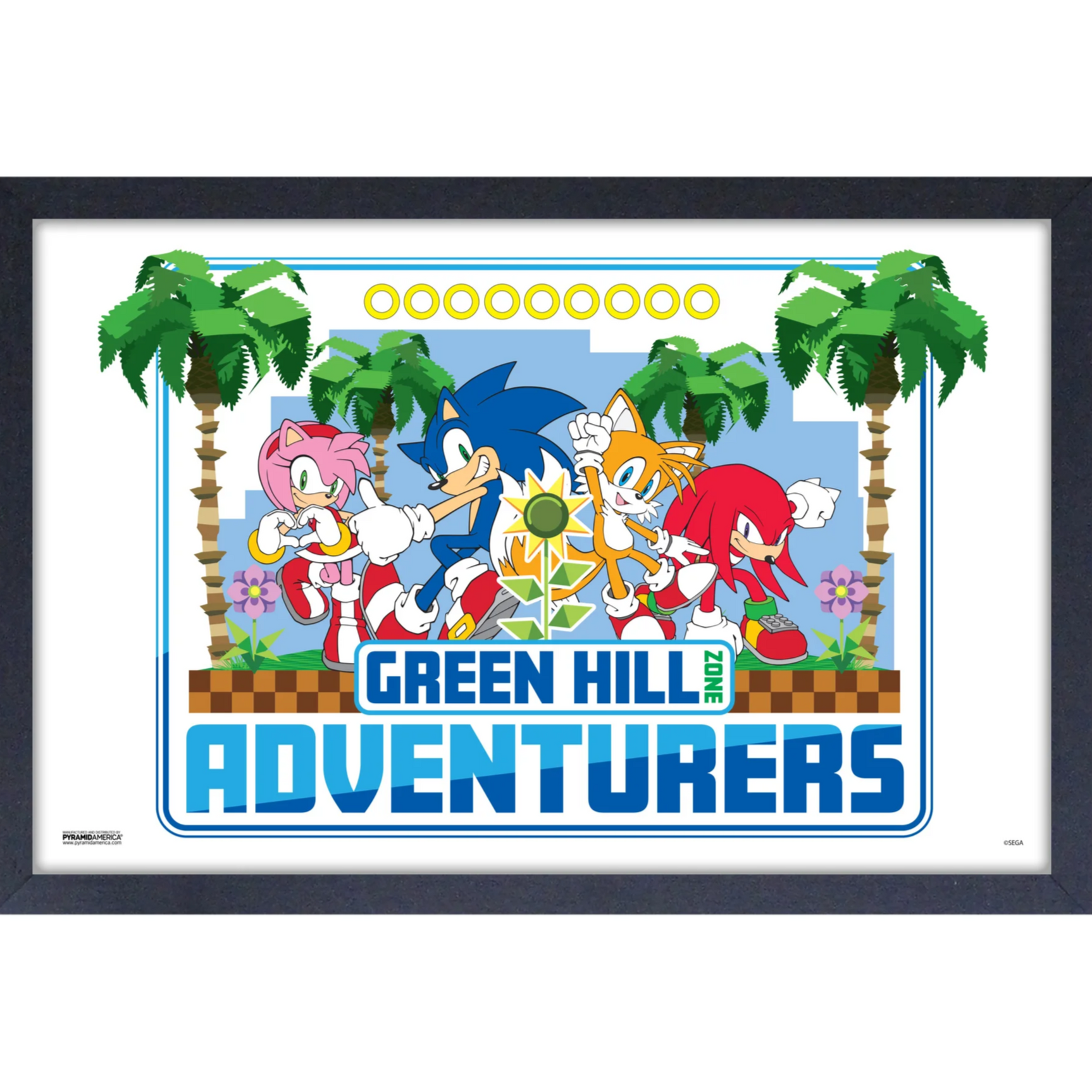 Sonic the Hedgehog - Green Hill Adventures - 17"x11" Gel-Coat Framed Print