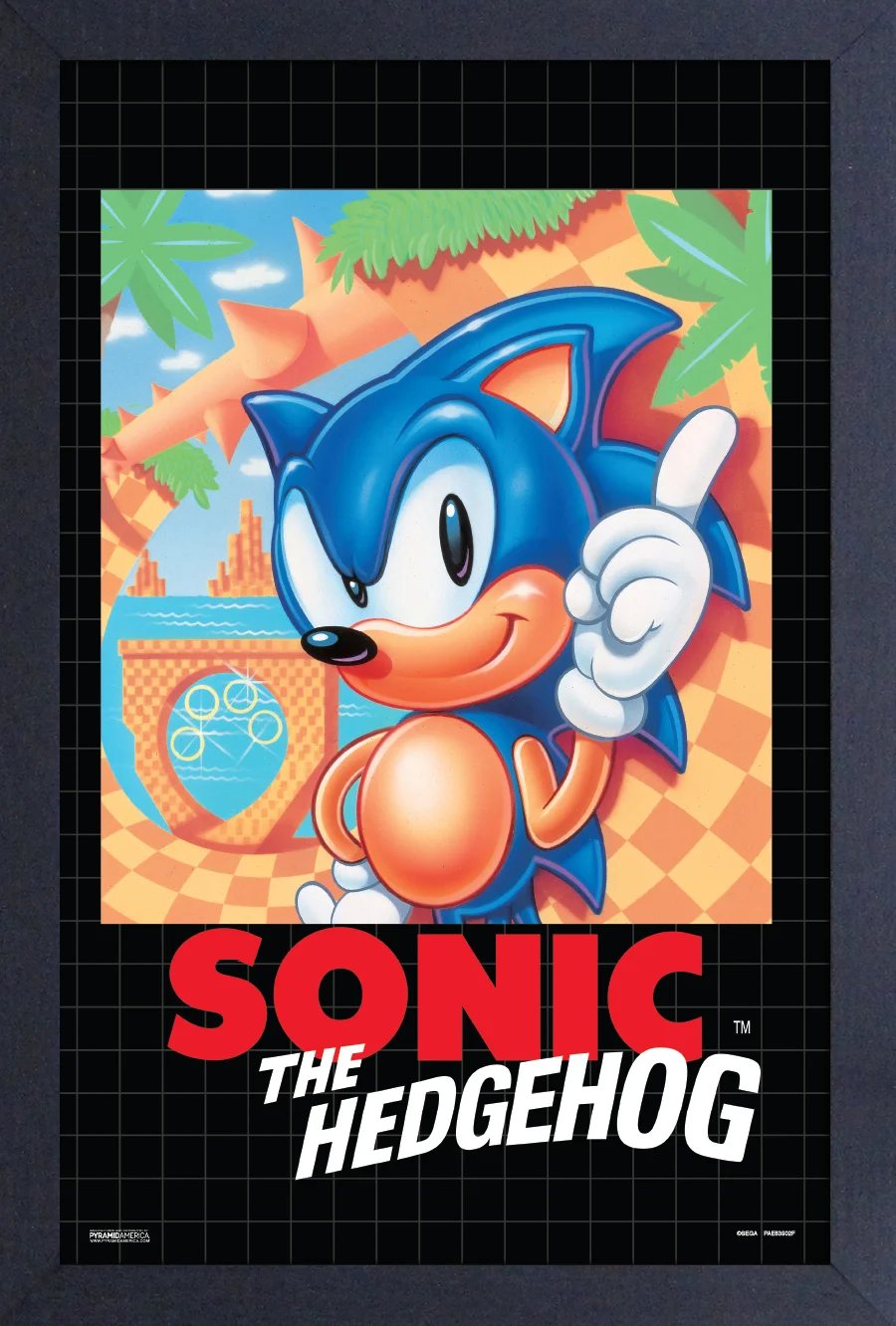 Sonic the Hedgehog - Sonic 1 Genesis Box Art - 11"x17" Gel-Coat Framed Print