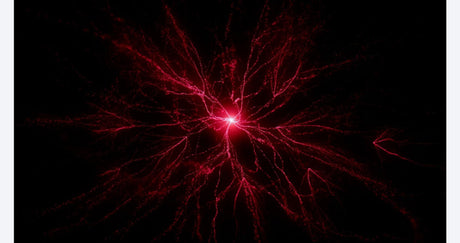 Armored Core: Fires of Rubicon - PlayStation 5