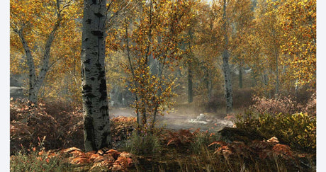 Elder Scrolls V: Skyrim - Special Edition - Xbox One