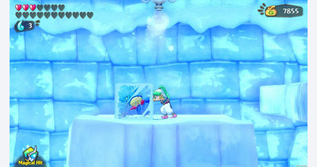 Wonder Boy: Asha in Monster World - Nintendo Switch