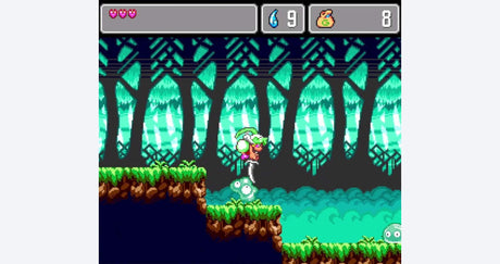 Wonder Boy: Asha in Monster World - Nintendo Switch