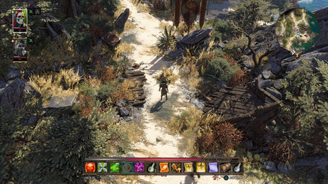 Divinity: Original Sin II - Definitive Edition - Xbox One