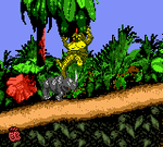 Donkey Kong Country - Game Boy Color