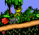 Donkey Kong Country - Game Boy Color