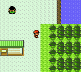 Pokemon Silver Version - Game Boy Color