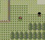 Pokemon Crystal Version - Game Boy Color