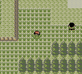 Pokemon Crystal Version - Game Boy Color