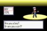 Pokemon Ruby Version - Game Boy Advance