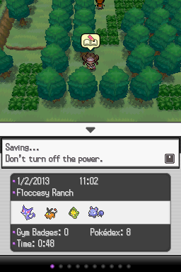 Pokemon White Version 2 - Nintendo DS