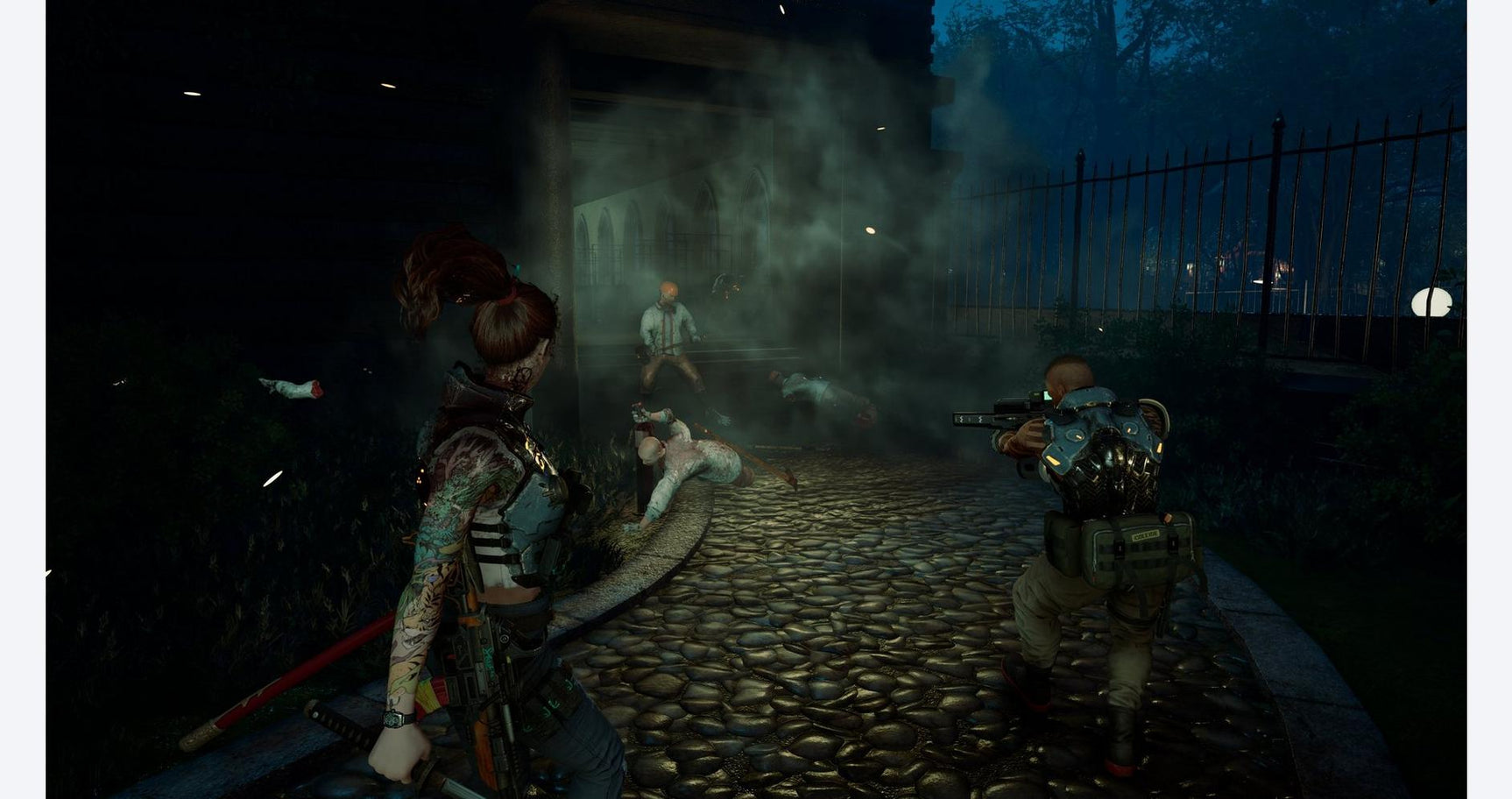 Wanted: Dead - PlayStation 5