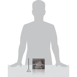 Pokemon TCG: Mega Evolution - Pitch Black Elite Trainer Box