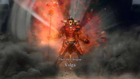 Hyrule Warriors - Wii U