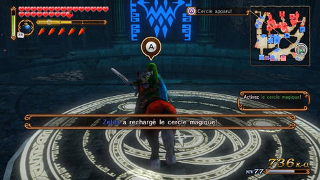 Hyrule Warriors - Wii U