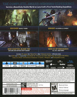 Rise of the Tomb Raider: 20 Year Celebration - PlayStation 4