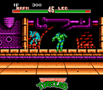 Teenage Mutant Ninja Turtles: Tournament Fighters - NES