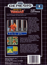 Sword of Vermilion - SEGA Genesis