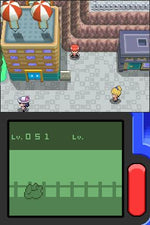 Pokemon Diamond Version - Nintendo DS