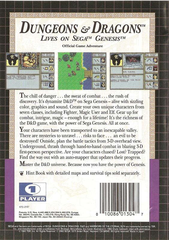 Dungeons & Dragons: Warriors of the Eternal Sun - SEGA Genesis