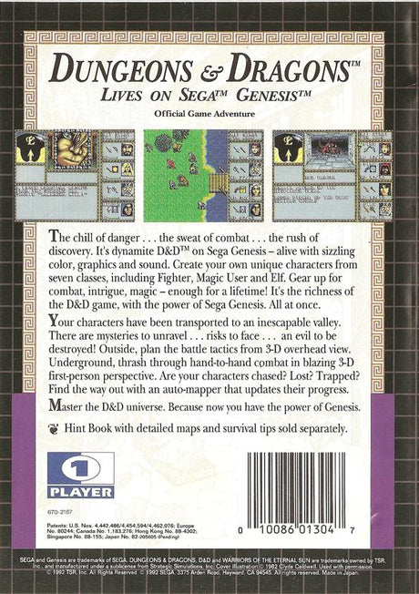 Dungeons & Dragons: Warriors of the Eternal Sun - SEGA Genesis