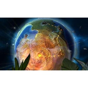 Combat of Giants: Dinosaurs 3D - Nintendo 3DS