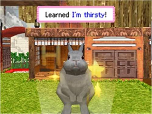 Petz: Bunnyz - Nintendo DS