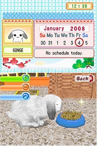Petz: Bunnyz - Nintendo DS