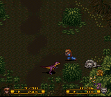 Secret of Evermore - Super Nintendo