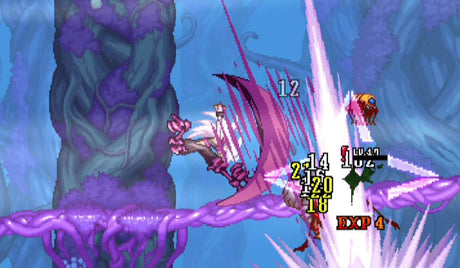Dragon Marked For Death - Nintendo Switch