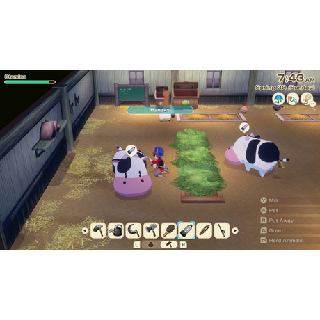 Story of Seasons: Grand Bazaar - Nintendo Switch 2 Edition