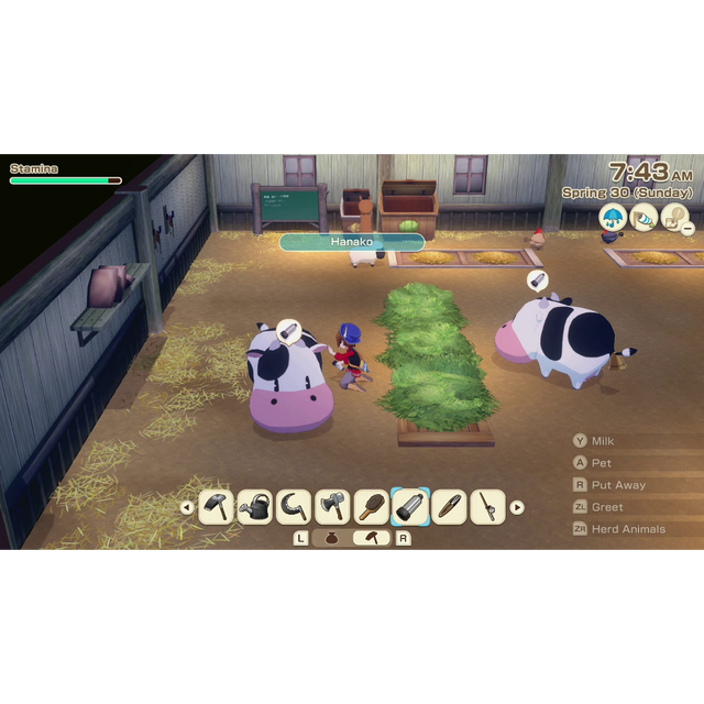 Story of Seasons: Grand Bazaar Premium Edition - Nintendo Switch 2 Edition