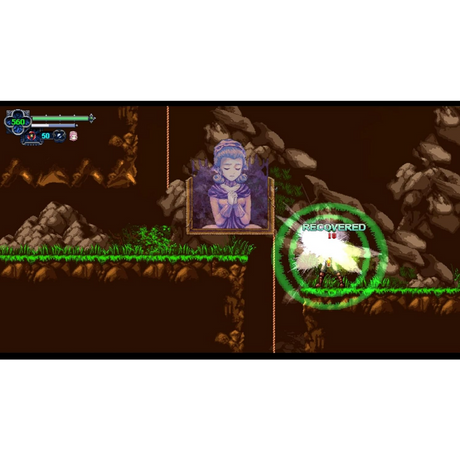 Chronicles of the Wolf - Nintendo Switch