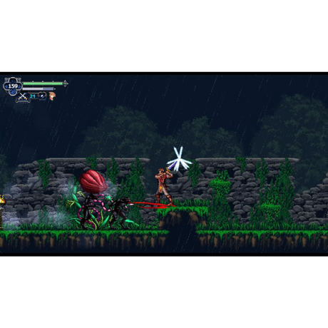 Chronicles of the Wolf - Nintendo Switch