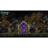 Chronicles of the Wolf - Nintendo Switch