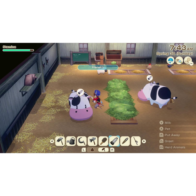 Story of Seasons: Grand Bazaar - Nintendo Switch