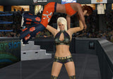 WWE Smackdown vs. Raw 2010 - Wii