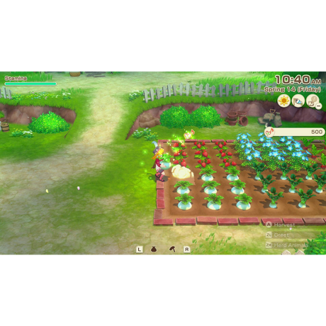 Story of Seasons: Grand Bazaar - Nintendo Switch 2 Edition