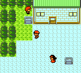 Pokemon Gold Version - Game Boy Color
