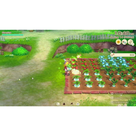Story of Seasons: Grand Bazaar - Nintendo Switch