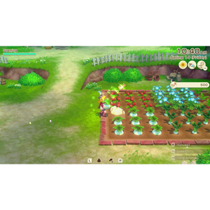 Story of Seasons: Grand Bazaar Premium Edition - Nintendo Switch